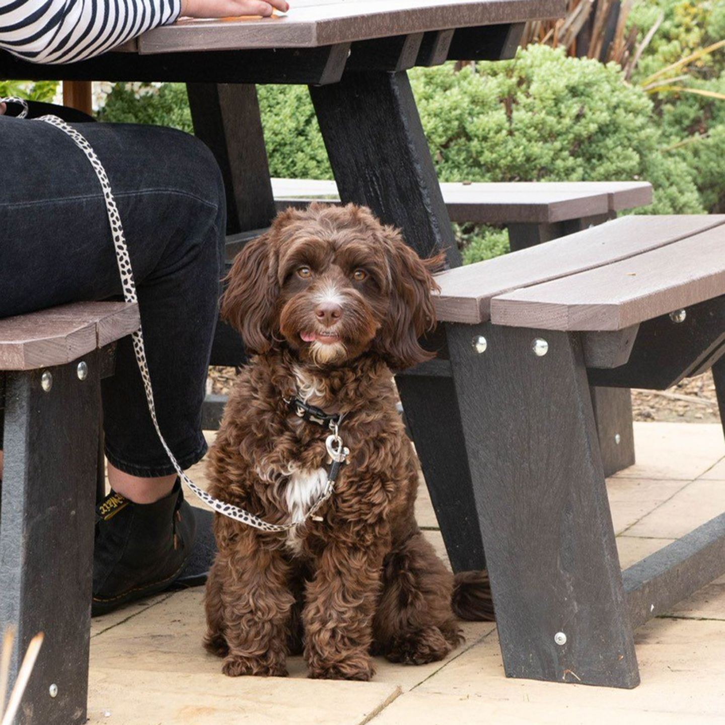 Your local dog friendly pub in Ullswater